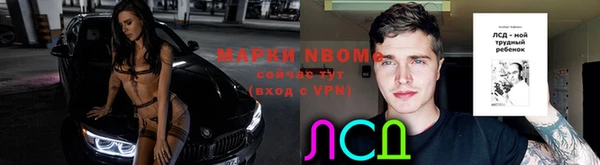 соль ск Абаза