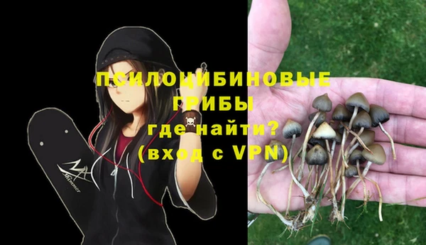 a pvp Абинск