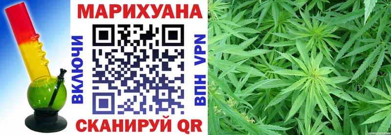 Канабис SATIVA & INDICA  MEGA ONION  Иланский 